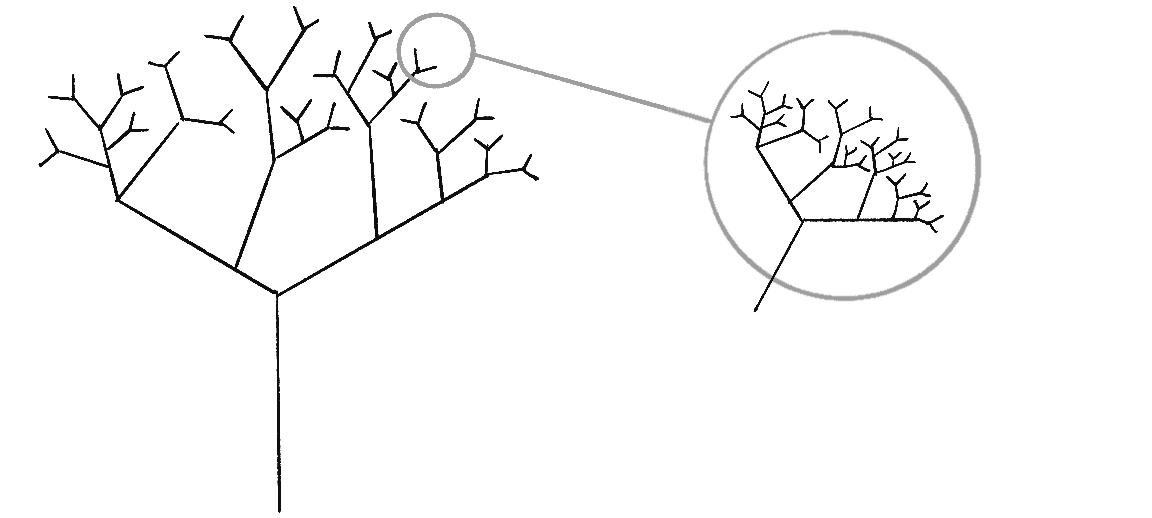 Малюнок 8.3: Збільшений вигляд однієї гілки фрактального дерева